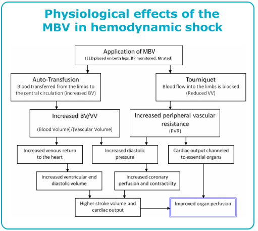 physiologicaleffects1B